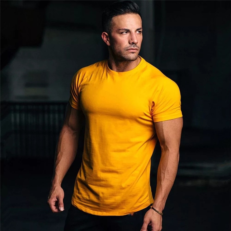 Workout Skinny sleeve Bodybuilding shirt