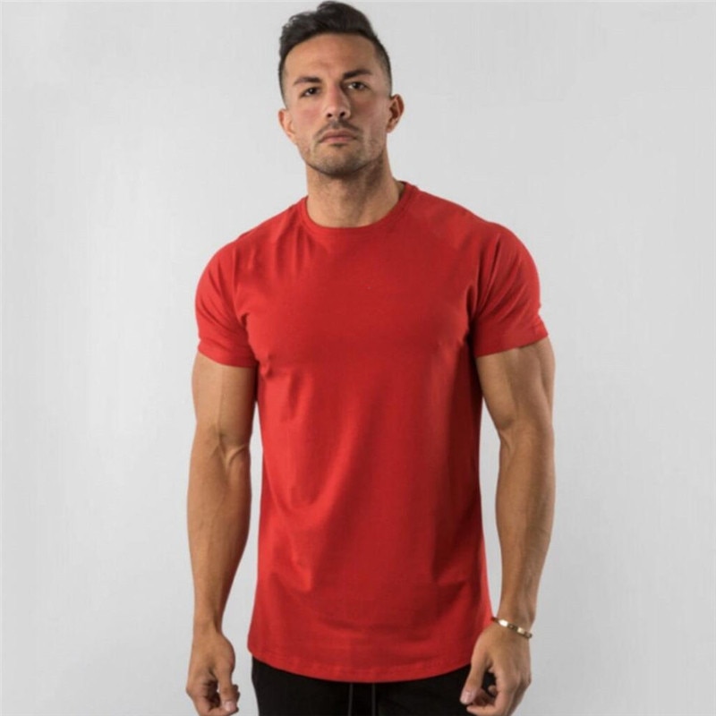 Workout Skinny sleeve Bodybuilding shirt